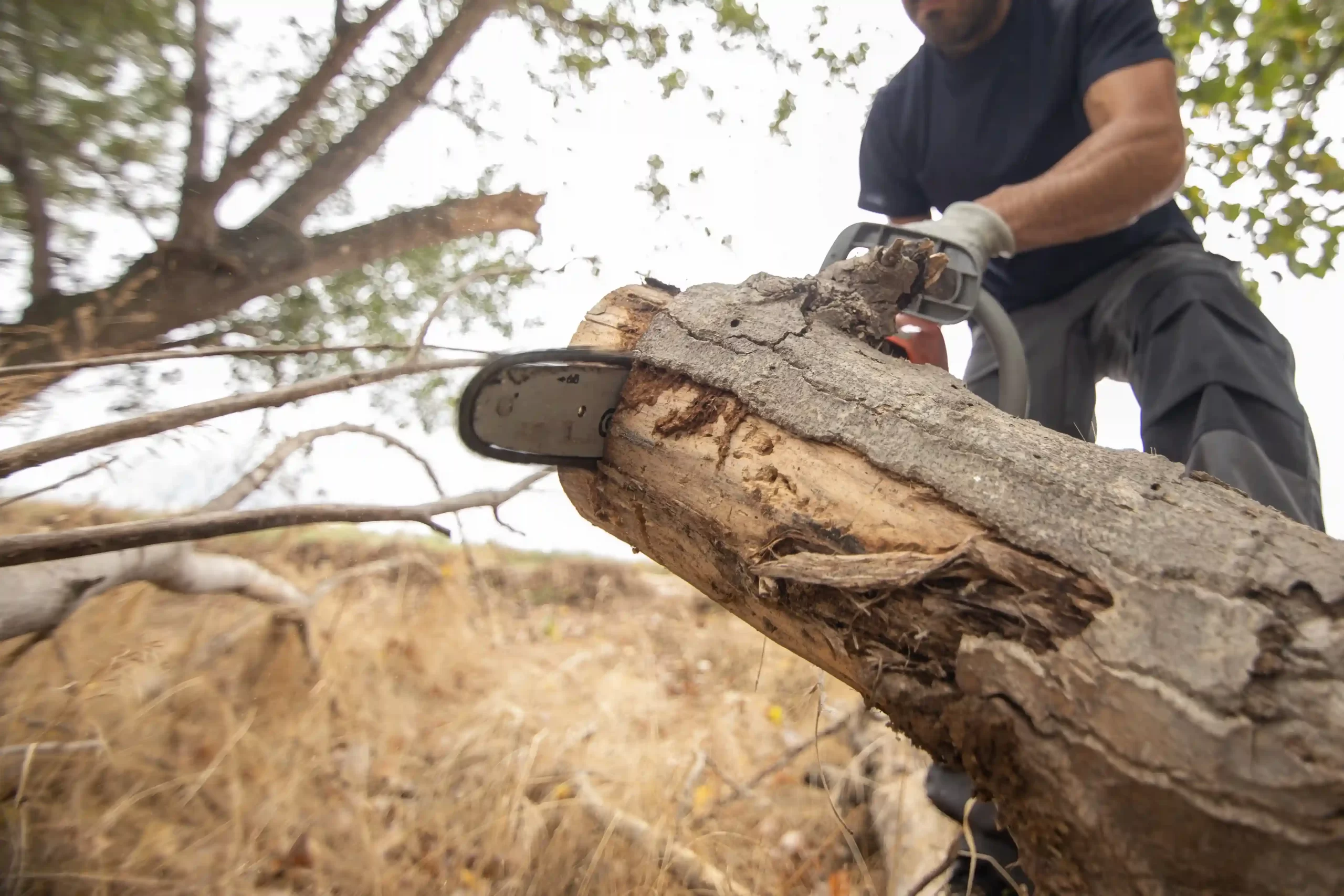 closeup-lumberjack-with-chainsaw-forest-_1__11zon