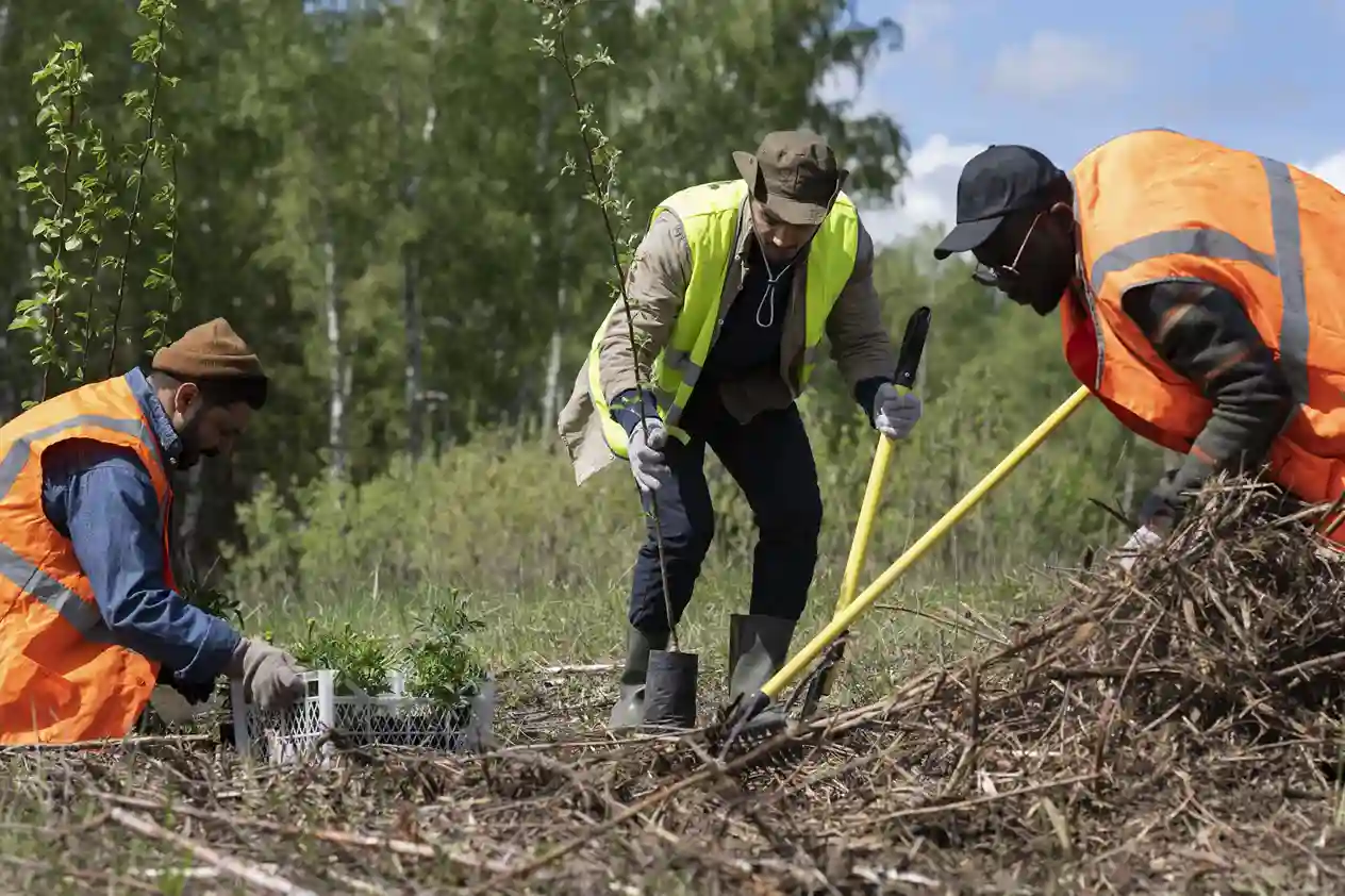 reforestation-done-by-voluntary-group-_1__11zon